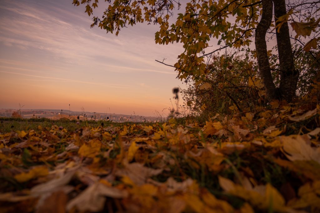 photo schwenheim concours